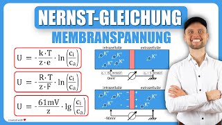 NernstGleichung Physiologie  Membranspannung  Physikum M1 Übungsaufgaben [upl. by Hwu927]