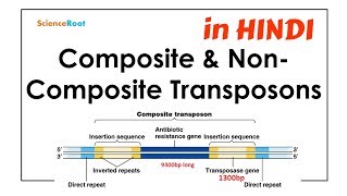 Composite amp NonComposite Transposons  ScienceRoot [upl. by Amsirhc362]