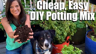 This is what happens when you use your own Potting mix vs Potting soil  EasyCheap DIY Potting Mix [upl. by Iorgo]