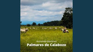 Palmares de Calabozo [upl. by Htebzil904]