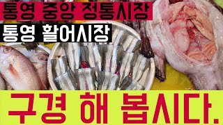 통영중앙시장통영활어시장 한바퀴 둘러보기손떨방주의땅바닥주의 Tongyeong Central Traditional Market [upl. by Otanod]