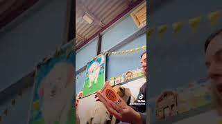 Teaching the dogs Welsh Part 1 🐕🏴󠁧󠁢󠁷󠁬󠁳󠁿👏🏼dogdaycare dogschool welsh cymraeg cymru dogtraining [upl. by Tami702]