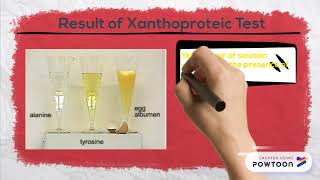 Xanthoproteic Test [upl. by Tiffanie878]