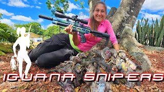 Hunting Iguanas in the trees with pellet guns in South Florida [upl. by Zzahc587]