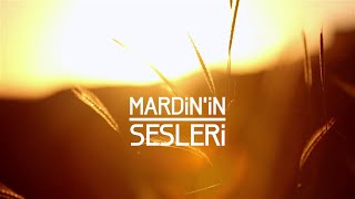 MARDİNİN SESLERİ  SOUNDS OF MARDIN 马尔丁声音 [upl. by Alysa]