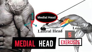 Best 5 Exercises quotMEDIAL HEAD TRICEPSquot Workout  SHREDDED BODY [upl. by Aronle]