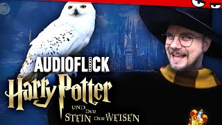 Eddy guckt Harry Potter und der Stein der Weisen mit euch  Audioflick [upl. by Bernadina]