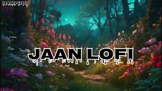 Jaan lofi songs  new song 2024  trending music punjabi song [upl. by Einnhoj]