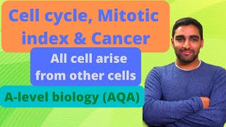 Cell cycle Mitotic Index amp Cancer  Alevel Biology [upl. by Duwad858]