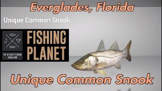 Unique Common Snook  Everglades Florida  Fishing Planet Guide [upl. by Lou402]