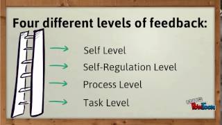 The Power of Feedback [upl. by Havot368]