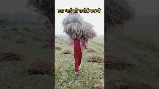 video jab se Hui hai Sadi comedy sad story oldsong sad status [upl. by Ahsian763]