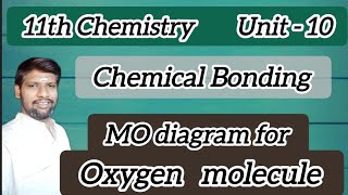 MO diagram for Oxygen molecule  11th Chemistry  Chemical Bonding  Explanation in tamil [upl. by Arvind170]