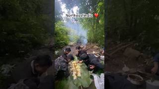 nagaland naga northeastindia friend friendship picnic jungle celebration shorts goviral [upl. by Leahcimnaes]