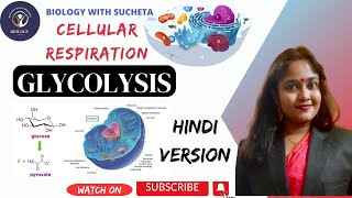 Glycolysis pathway made simple l EMP Pathway l Cellular Respiration in hindi l [upl. by Mannie]