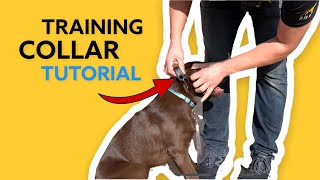 starmark Training Collar Sizing and How To [upl. by Aihc989]