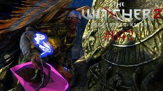 Lets Play The Witcher 2 Iorweth 042 Deutsch Full HD  Die Welt der Träume [upl. by Yard]