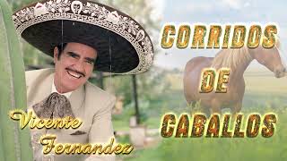 Vicente Fernandez Exitos De Oro  Vicente Fernandez Corridos De Caballos Mix [upl. by Jarl712]