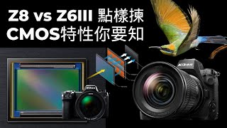 Z8 vs Z6III 點樣揀 CMOS特性你要知 [upl. by Hadihahs]