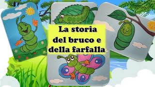 La storia del bruco e della farfalla metamorfosidellafarfalla scienze dad [upl. by Fanestil]