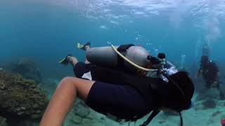 Phi Phi Islands Diving 360 Video [upl. by Calva]