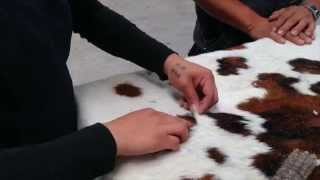 Cowhide rugs production process by Decohidescom [upl. by Avehsile]