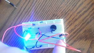 Double Throw Switch On Breadboard [upl. by Eylk789]