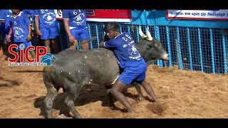 Avaniapuram jallikattu 2018 [upl. by Gnni46]