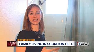 Family living in scorpion hell [upl. by Aisyat588]