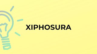 What is the meaning of the word XIPHOSURA [upl. by Barolet]