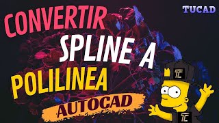 COMO CONVERTIR SPLINE A POLILINEA TIPO CABLEADO ELECTRICO EN AUTOCAD [upl. by Philip]