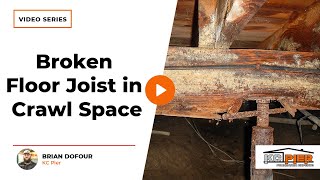 How to Repair a Broken Floor Joist in Crawl Space  KC Pier [upl. by Ovatsug67]