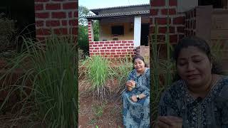 villagelife  गवती चहा  Lemongrass Tea Recipe  Detox tea  Lemongrass Benefits  konkan [upl. by Laroc]