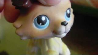 LPS Summer Camp Part 9 Happy Endings [upl. by Airdnassac]