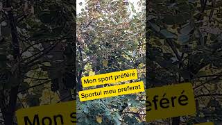 Sportul meu preferat youtubeshorts short sports football lefrançaisavecgabrielle [upl. by Narra563]