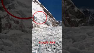 2014 Everest Avalanche shorts [upl. by Maag]