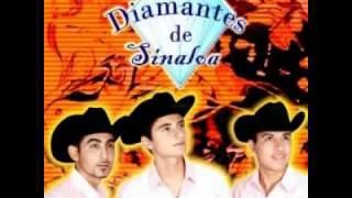 celoso empedernido  diamantes de sinaloa [upl. by Eiramlirpa490]