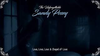 Sandy Posey  Love Love Love amp Chapel of Love HQ [upl. by Novahs]