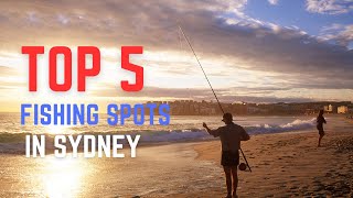 TOP 5 FISHING SPOTS IN SYDNEY [upl. by Milburt401]