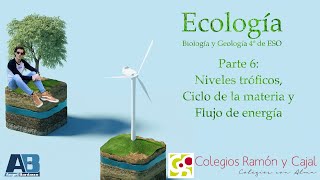 6Ecología Niveles tróficos Ciclo de materia y flujo de energía  Biología y Geología 4º de ESO [upl. by Vedette]