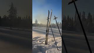 So peaceful winter norway nature [upl. by Ssalguod]