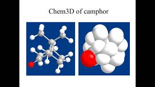 CHM 252L Camphor Reduction PP [upl. by Bassett686]