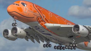 60 MINUTES PURE AVIATION  AIRBUS A380 B747 Beluga  Special painted planes only 4K [upl. by Mill]