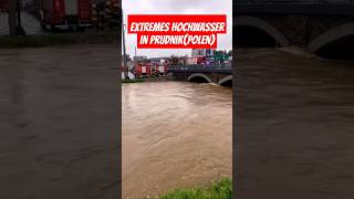 Extremes Hochwasser in PrudnikPolen heavyrain hochwasser polen prudnik viralvideo foryou [upl. by Ilyse]