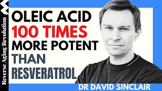 DAVID SINCLAIR “Oleic Acid 100 Times More Potent Than Resveratrol”Dr David Sinclair Interview Clips [upl. by Maghutte]