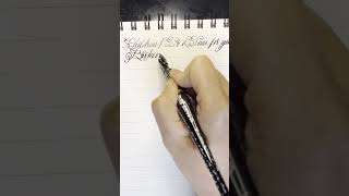 This melodies of Broken Dreams Writing Relaxation Dip Pen [upl. by Tomasine936]