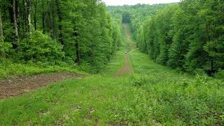 ATV and SXS ride Bruceton Mills area WV [upl. by Bueschel570]