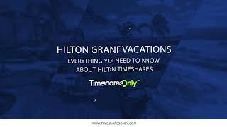 Everything You Need to Know About Hilton Timeshares  Timeshares Only [upl. by Hurleigh604]