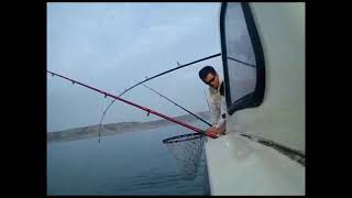 Gower Fishing Swansea [upl. by Airym]