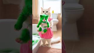 Crazy cat story 🫢🥬 cat cute funny funnystory funnyvideos [upl. by Ymas]